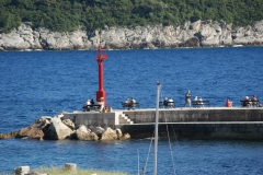 SONY DSC