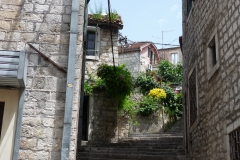 P1230693
