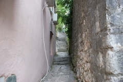 SONY DSC