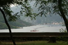 SONY DSC