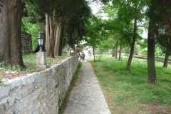P1230936